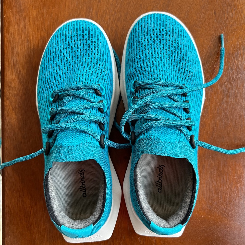 allbirds Tree Dasher 2 Thrive W8 teal (blizzard) NWT